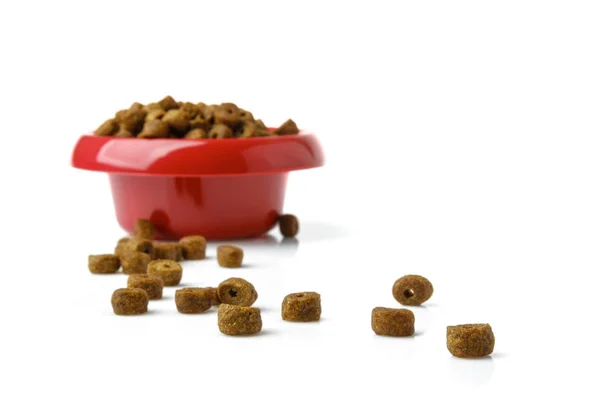 Comida para cães em uma tigela, isolada em fundo branco — Fotografia de Stock