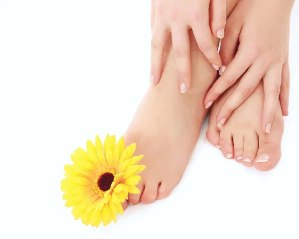 Vrouwelijke voeten met gele gerbera geïsoleerd op witte achtergrond — Stockfoto