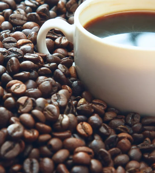 Kávová zrna s bílým cup — Stock fotografie