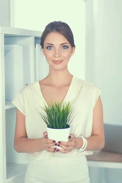 Mulher bonita que segura o potenciômetro com uma planta — Fotografia de Stock