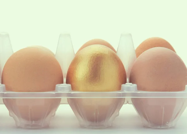 Golden egg on white background — Stock Photo, Image