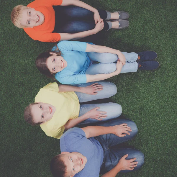 Group of young people sitting on green grass — Stock Photo, Image