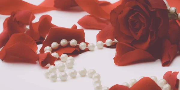 Rose petals isolated on white background — Stock Photo, Image