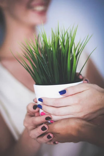 Hermosa mujer sosteniendo la olla con una planta — Foto de Stock