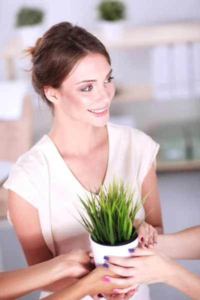 Belle femme tenant pot avec une plante — Photo