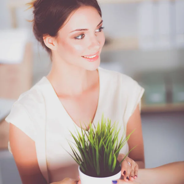 Krásná žena, držící hrnec s rostlin — Stock fotografie