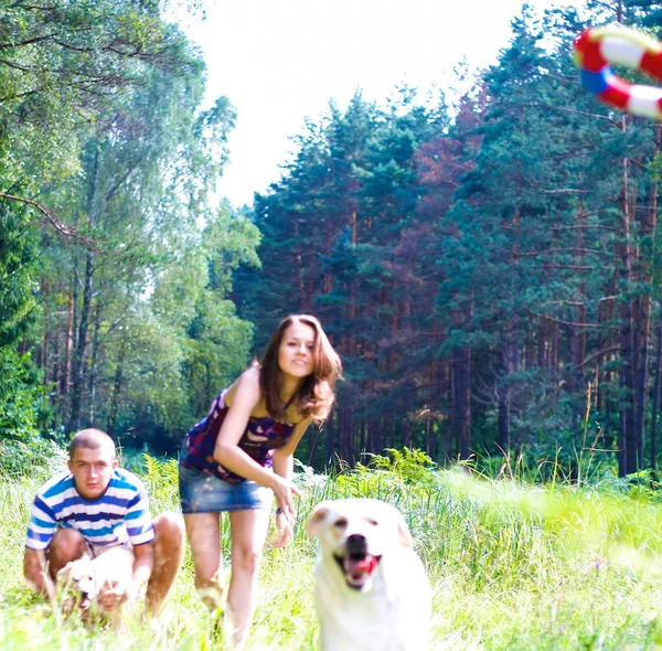 Young Couple Walking Dog — Stock Photo, Image