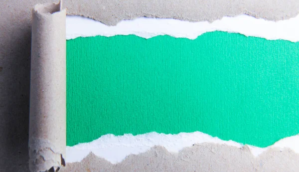 Papel verde rasgado y fondo blanco — Foto de Stock