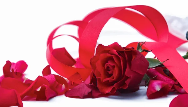 Czerwone płatki róż izolowane na białym tle — Zdjęcie stockowe