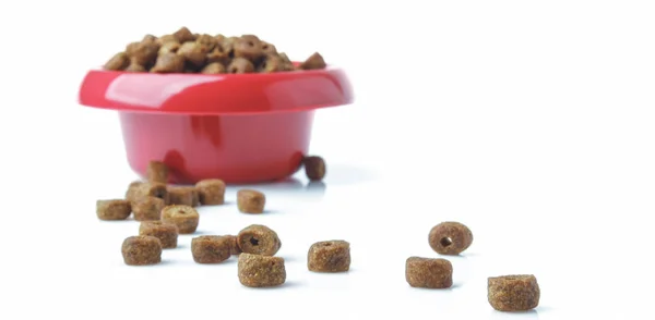 Alimento para perros en un tazón, aislado sobre fondo blanco — Foto de Stock