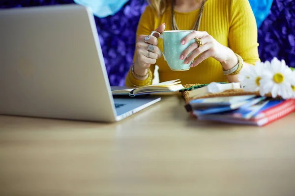 Young woman on a coffee break or enjoying the coffee-break, Using laptop computer. — Stock Photo, Image