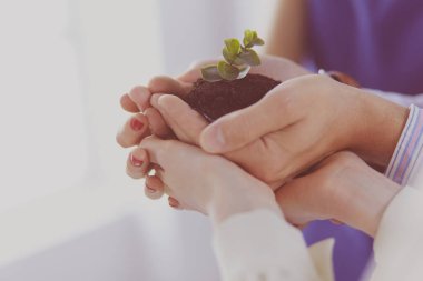 Bir grup iş adamı taze bir filizi tutuyor. Büyüyen ve yeşil ticaretin sembolü