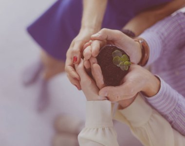 Mavi gömlekli bir işadamı elinde küçük bir bitki, büyüme ve gelişme kavramı tutuyor.