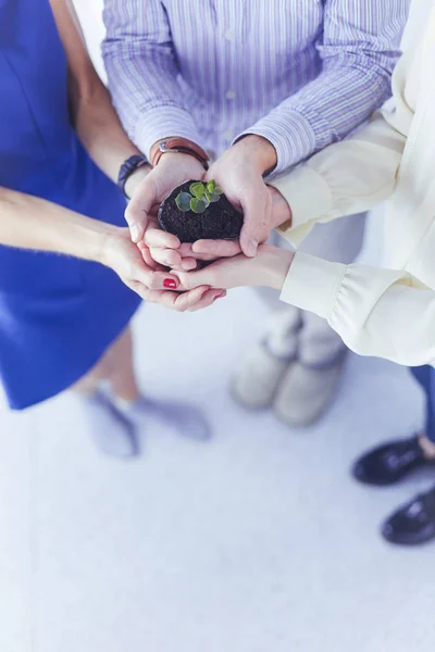 Empresario con camisa azul sosteniendo una pequeña planta, concepto de crecimiento y desarrollo — Foto de Stock