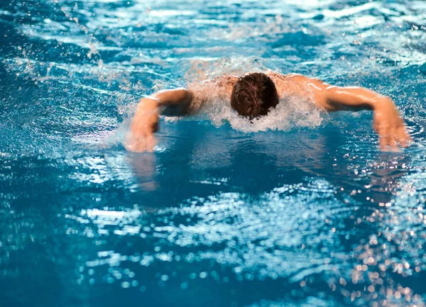 Male swimmer at the swimming pool. Underwater photo. Male swimmer. Royalty Free Stock Photos