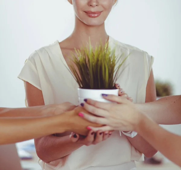 Mulher bonita que prende o potenciômetro com uma planta, estando — Fotografia de Stock