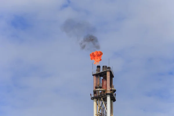 나팔꽃-관련된 가스의 연소 가스 — 스톡 사진