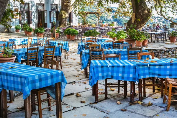거리와 카페 펠리 온, 그리스의 Makrinitsa 마을에서 보기 — 스톡 사진
