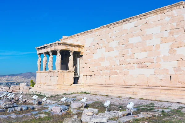 Ακρόπολη, Ναός Ερεχθείου στην Αθήνα, Ελλάδα — Φωτογραφία Αρχείου