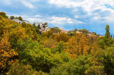 Renkli sonbahar ağaçlar ve dağ köyü havadan görünümü