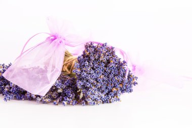 Beyaz arkaplanda bir demet lavanta çiçeği