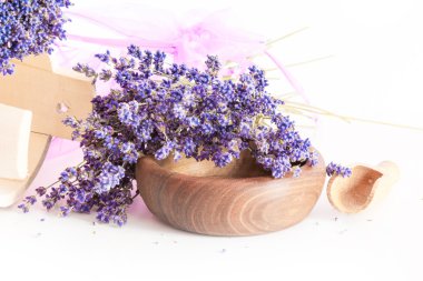 Beyaz arkaplanda bir demet lavanta çiçeği