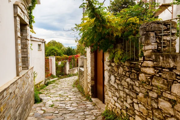 Vista de la calle en Portaria pueblo de Pelion, Grecia — Foto de Stock