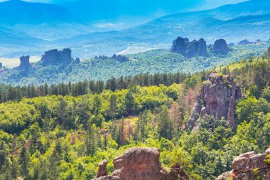 Cliff kayalar Belogradchik, Bulgaristan