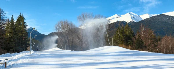 Grön tall träd, vit snö toppen av berget bakom — Stockfoto