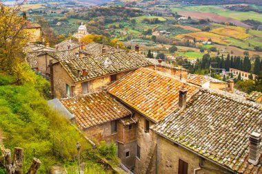 Tuscany panoramik manzara eski geleneksel ile evlerin çatıları, selvi, üzüm bağları, İtalya