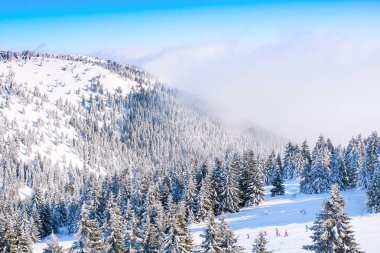 Kayak Merkezi Kopaonik, Sırbistan, Kayak, insanlar Panoraması evleri karla kaplı.