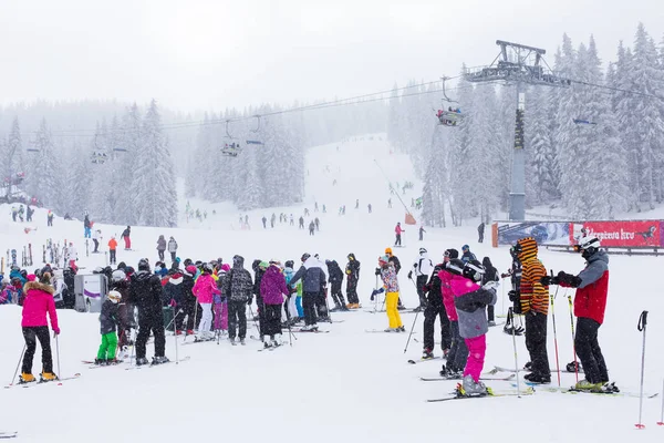 滑雪胜地科帕奥尼克，塞尔维亚，滑雪，电梯，松树的全景 — 图库照片
