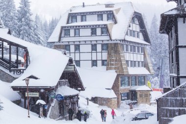 Kayak Merkezi Kopaonik, Sırbistan, kayakçı, çam ağaçları Panoraması