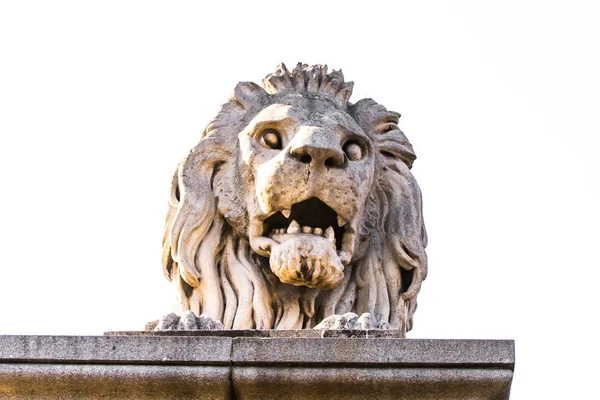 Close up estátua de leão na ponte Chain, Budapeste, Hungria — Fotografia de Stock