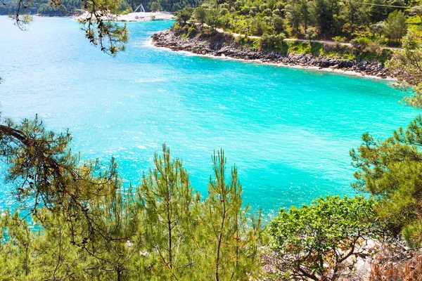 Sommerurlaub Hintergrund mit türkisfarbenem Meer Wasser Bucht und Kiefern — Stockfoto