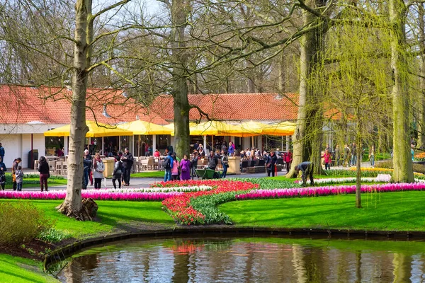 Padiglione colorato e tulipani fioriti fioriscono nel parco olandese, Lisse, Olanda — Foto Stock