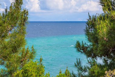 Yaz tatil arka plan turkuaz deniz su koy ve çam ağaçları ile