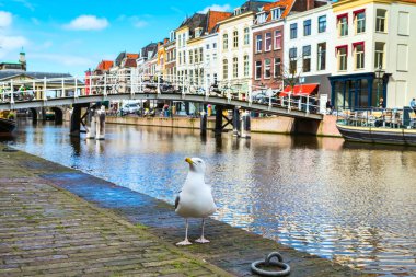 Geleneksel evleri ve Leiden, Hollanda'nın merkezinde Köprüsü