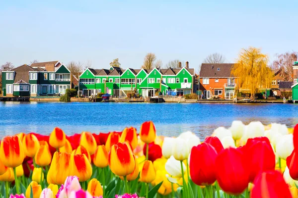 Fila de antigas casas tradicionais holandesas em Zaanse Schans e lago, Holanda — Fotografia de Stock