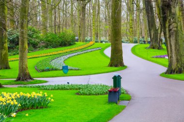 Kırmızı lale, sarı nergis çiçekler baharda çiçek açan flowerbed