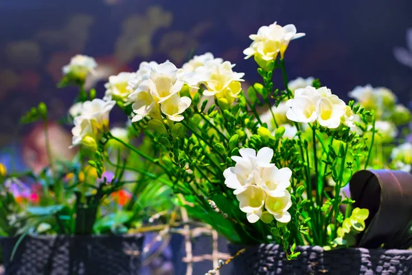 Buquê de flores vibrantes de fundo amarelo alstroemeria — Fotografia de Stock