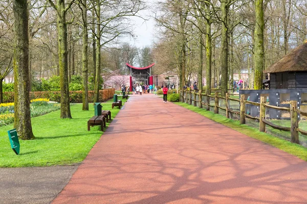 Persone che camminano e fanno foto nel giardino primaverile Keukenhof, Lisse, Paesi Bassi — Foto Stock