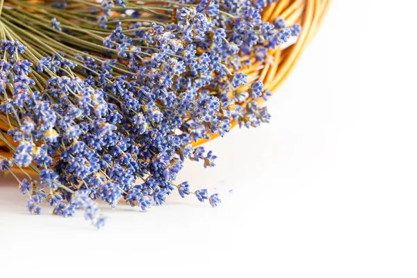 Ramo de flores de lavanda sobre fondo blanco — Foto de Stock