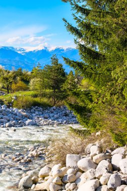 Nehir, kar dağlar ve yeşil bahar ağaçları