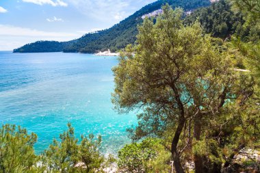 Turkuaz deniz su bay, nountains, çam ağaçları ile yaz tatil arka plan