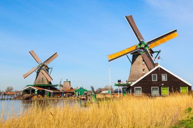 Yel değirmeni Zaanse Schans'a, geleneksel köy, Hollanda, Kuzey Hollanda