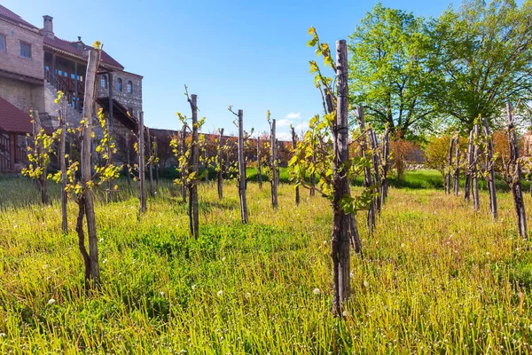 Monasterio ortodoxo de Alaverdi en la región de Kakhetia en Georgia Oriental — Foto de Stock