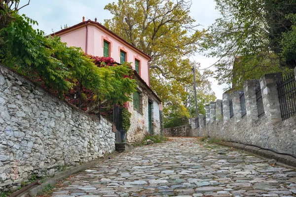 Straßenansicht in Portaria Dorf Pelion, Griechenland — Stockfoto