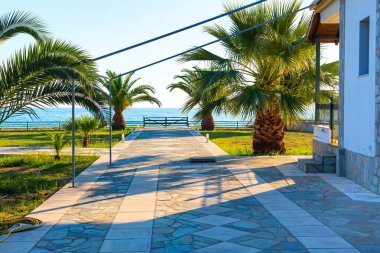 Palmiye ağaçları, villa ve deniz yaz arka plan görüntüleme