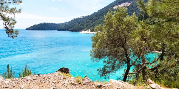 Sommerurlaub Hintergrund mit türkisfarbenem Meer Wasser Bucht und Kiefern — Stockfoto